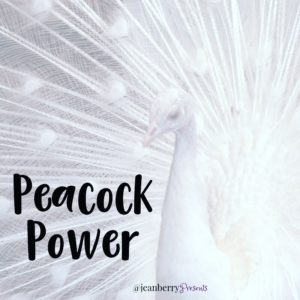 Peacock Power